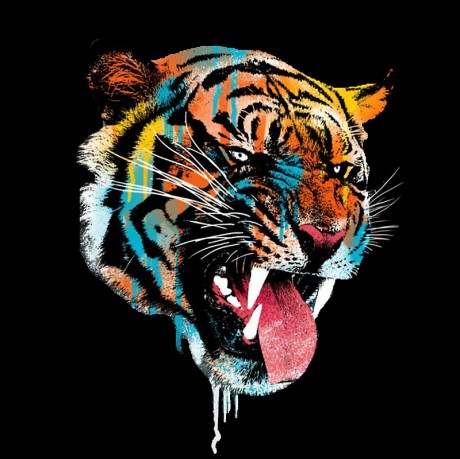 Image of Tigersroar13