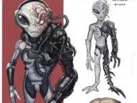 Image of Scaver