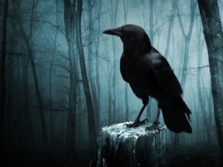 Character Crow Skeldergate