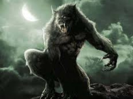 Character The Black Wolf (real name lost in time