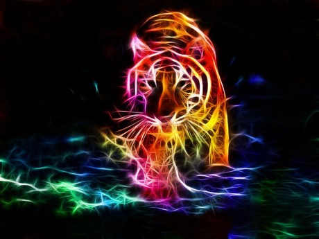 Roleplay character: Tigersroar13