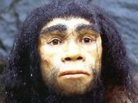 Image of Grognard Higgins