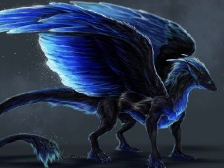 Character Midnight