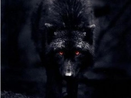 Character Black Fang