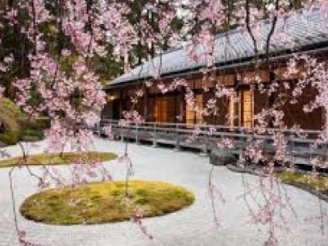 Roleplay character: The Zen Garden