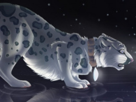 Character Midnight