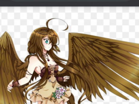 Image of Bird Av67