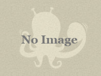 Survival logo