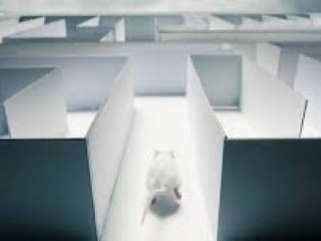White Mice logo
