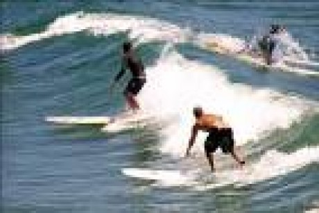 Wild Times In Paradise Beach logo
