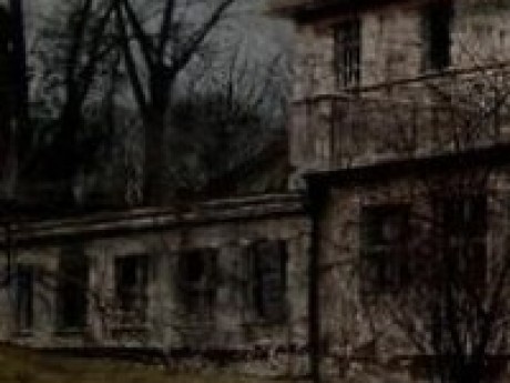 Asylum Maze logo