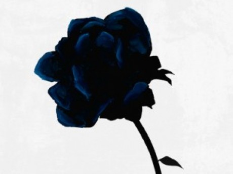 Rise of the Black Rose play-by-post roleplaying game