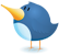 Twitter bird